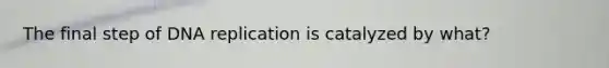 The final step of DNA replication is catalyzed by what?