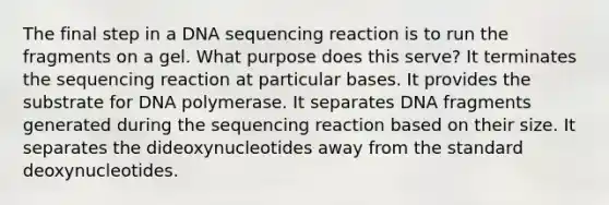 The final step in a DNA sequencing reaction is to run the fragments on a gel. What purpose does this serve? It terminates the sequencing reaction at particular bases. It provides the substrate for DNA polymerase. It separates DNA fragments generated during the sequencing reaction based on their size. It separates the dideoxynucleotides away from the standard deoxynucleotides.