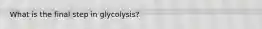 What is the final step in glycolysis?