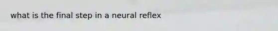 what is the final step in a neural reflex