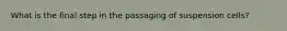 What is the final step in the passaging of suspension cells?