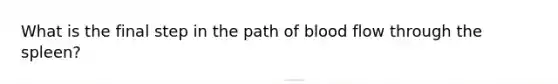 What is the final step in the path of blood flow through the spleen?