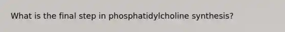 What is the final step in phosphatidylcholine synthesis?