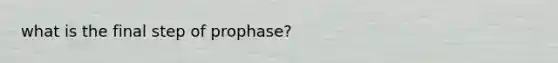 what is the final step of prophase?