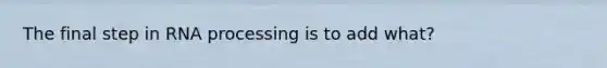 The final step in RNA processing is to add what?