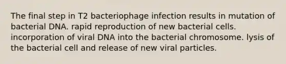 The final step in T2 bacteriophage infection results in mutation of bacterial DNA. rapid reproduction of new bacterial cells. incorporation of viral DNA into the bacterial chromosome. lysis of the bacterial cell and release of new viral particles.