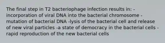 The final step in T2 bacteriophage infection results in: -incorporation of viral DNA into the bacterial chromosome -mutation of bacterial DNA -lysis of the bacterial cell and release of new viral particles -a state of democracy in the bacterial cells -rapid reproduction of the new bacterial cells