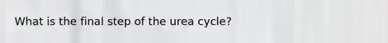 What is the final step of the urea cycle?