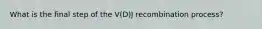 What is the final step of the V(D)J recombination process?