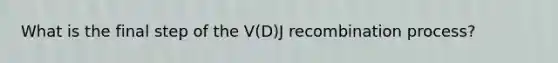 What is the final step of the V(D)J recombination process?