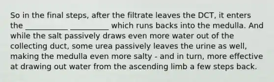 So in the final steps, after the filtrate leaves the DCT, it enters the ___________ __________ which runs backs into the medulla. And while the salt passively draws even more water out of the collecting duct, some urea passively leaves the urine as well, making the medulla even more salty - and in turn, more effective at drawing out water from the ascending limb a few steps back.