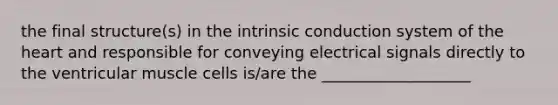 the final structure(s) in the intrinsic conduction system of <a href='https://www.questionai.com/knowledge/kya8ocqc6o-the-heart' class='anchor-knowledge'>the heart</a> and responsible for conveying electrical signals directly to the ventricular muscle cells is/are the ___________________