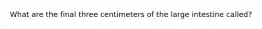 What are the final three centimeters of the large intestine called?