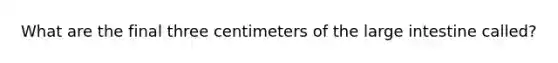 What are the final three centimeters of the large intestine called?