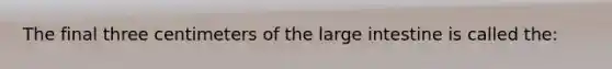 The final three centimeters of the large intestine is called the: