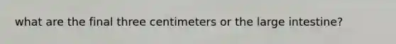 what are the final three centimeters or the large intestine?