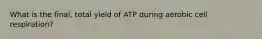 What is the final, total yield of ATP during aerobic cell respiration?