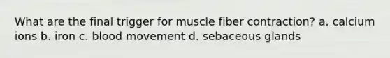 What are the final trigger for muscle fiber contraction? a. calcium ions b. iron c. blood movement d. sebaceous glands