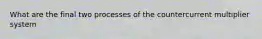 What are the final two processes of the countercurrent multiplier system