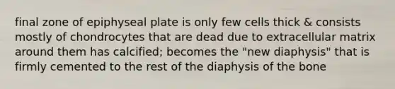 final zone of epiphyseal plate is only few cells thick & consists mostly of chondrocytes that are dead due to extracellular matrix around them has calcified; becomes the "new diaphysis" that is firmly cemented to the rest of the diaphysis of the bone