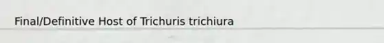 Final/Definitive Host of Trichuris trichiura