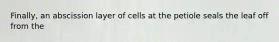 Finally, an abscission layer of cells at the petiole seals the leaf off from the