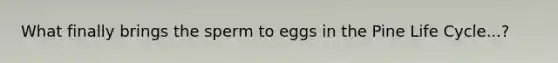 What finally brings the sperm to eggs in the Pine Life Cycle...?