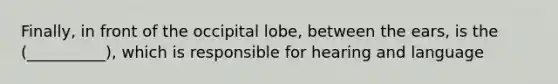 Finally, in front of the occipital lobe, between the ears, is the (__________), which is responsible for hearing and language