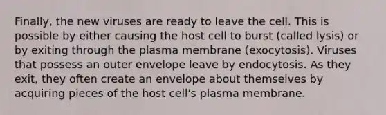 Finally, the new viruses are ready to leave the cell. This is possible by either causing the host cell to burst (called lysis) or by exiting through the plasma membrane (exocytosis). Viruses that possess an outer envelope leave by endocytosis. As they exit, they often create an envelope about themselves by acquiring pieces of the host cell's plasma membrane.​