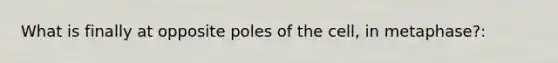 What is finally at opposite poles of the cell, in metaphase?: