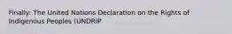 Finally: The United Nations Declaration on the Rights of Indigenous Peoples (UNDRIP