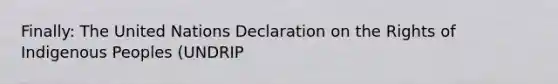 Finally: The United Nations Declaration on the Rights of Indigenous Peoples (UNDRIP