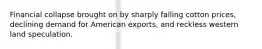 Financial collapse brought on by sharply falling cotton prices, declining demand for American exports, and reckless western land speculation.