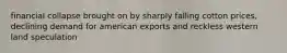 financial collapse brought on by sharply falling cotton prices, declining demand for american exports and reckless western land speculation