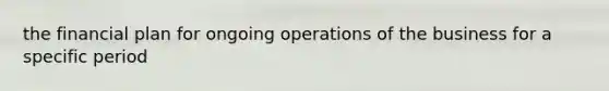 the financial plan for ongoing operations of the business for a specific period