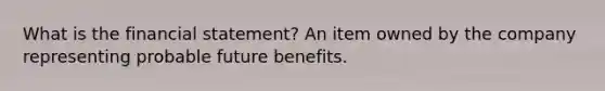 What is the financial statement? An item owned by the company representing probable future benefits.