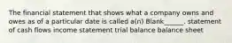 The financial statement that shows what a company owns and owes as of a particular date is called a(n) Blank______. statement of cash flows income statement trial balance balance sheet