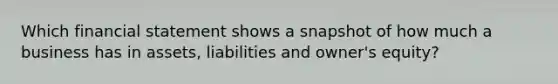Which financial statement shows a snapshot of how much a business has in assets, liabilities and owner's equity?