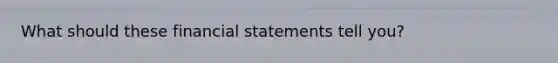 What should these financial statements tell you?