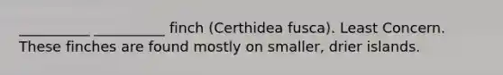 __________ __________ finch (Certhidea fusca). Least Concern. These finches are found mostly on smaller, drier islands.