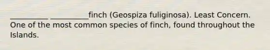 __________ __________finch (Geospiza fuliginosa). Least Concern. One of the most common species of finch, found throughout the Islands.