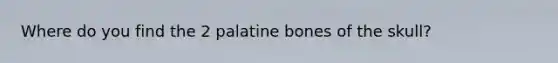 Where do you find the 2 palatine bones of the skull?