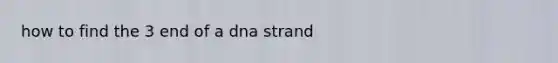 how to find the 3 end of a dna strand