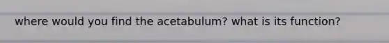 where would you find the acetabulum? what is its function?