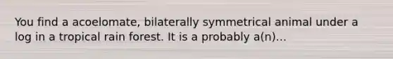 You find a acoelomate, bilaterally symmetrical animal under a log in a tropical rain forest. It is a probably a(n)...