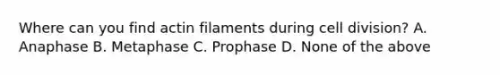 Where can you find actin filaments during cell division? A. Anaphase B. Metaphase C. Prophase D. None of the above