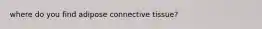 where do you find adipose connective tissue?