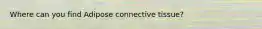 Where can you find Adipose connective tissue?