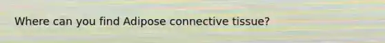 Where can you find Adipose connective tissue?