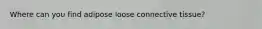 Where can you find adipose loose connective tissue?